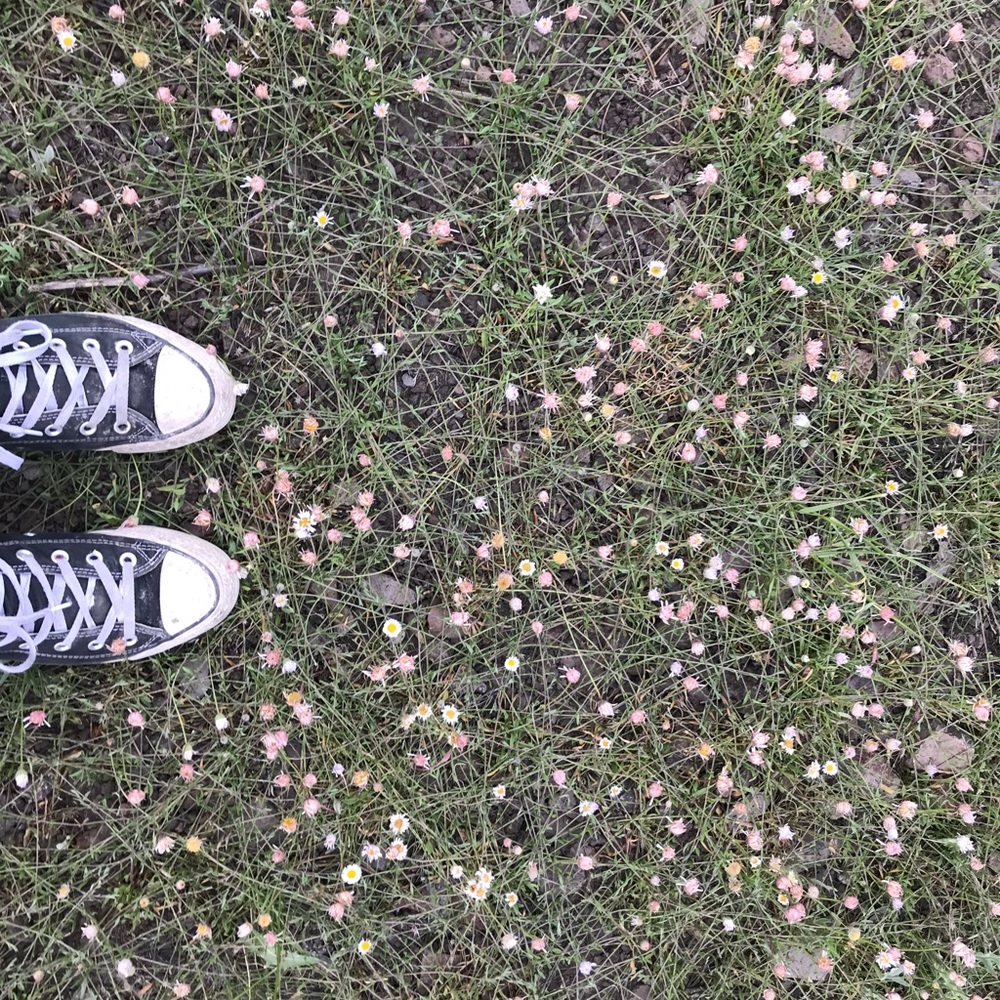 Meet your Posher, Kenadi